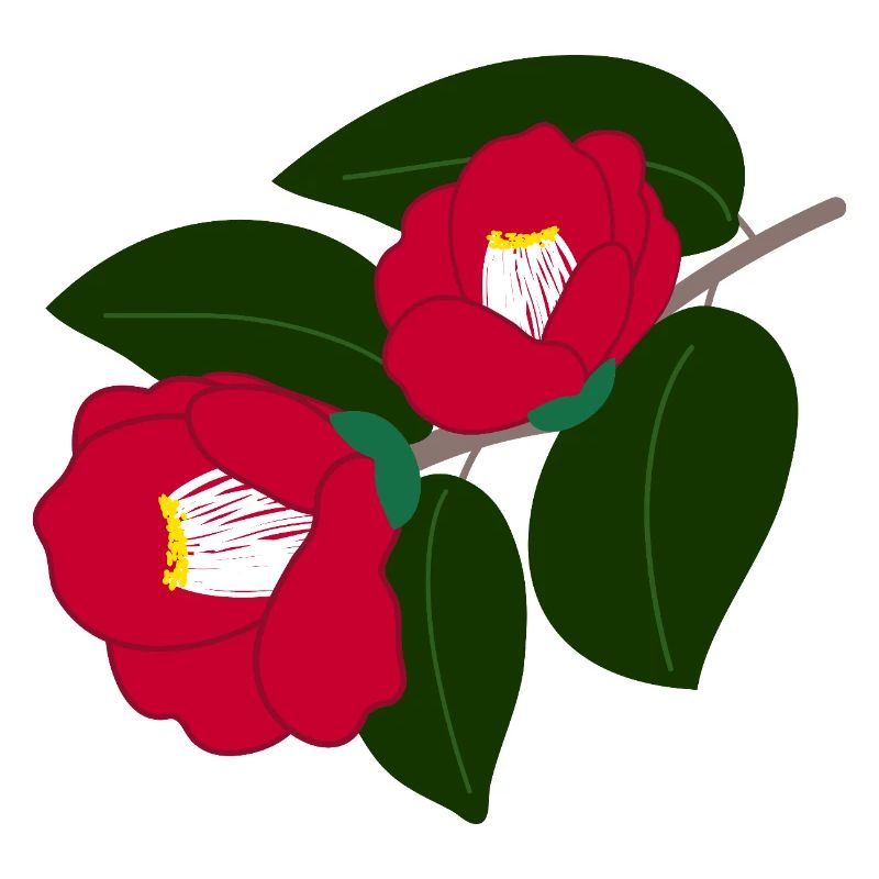 zwei rote Kamelienblüten