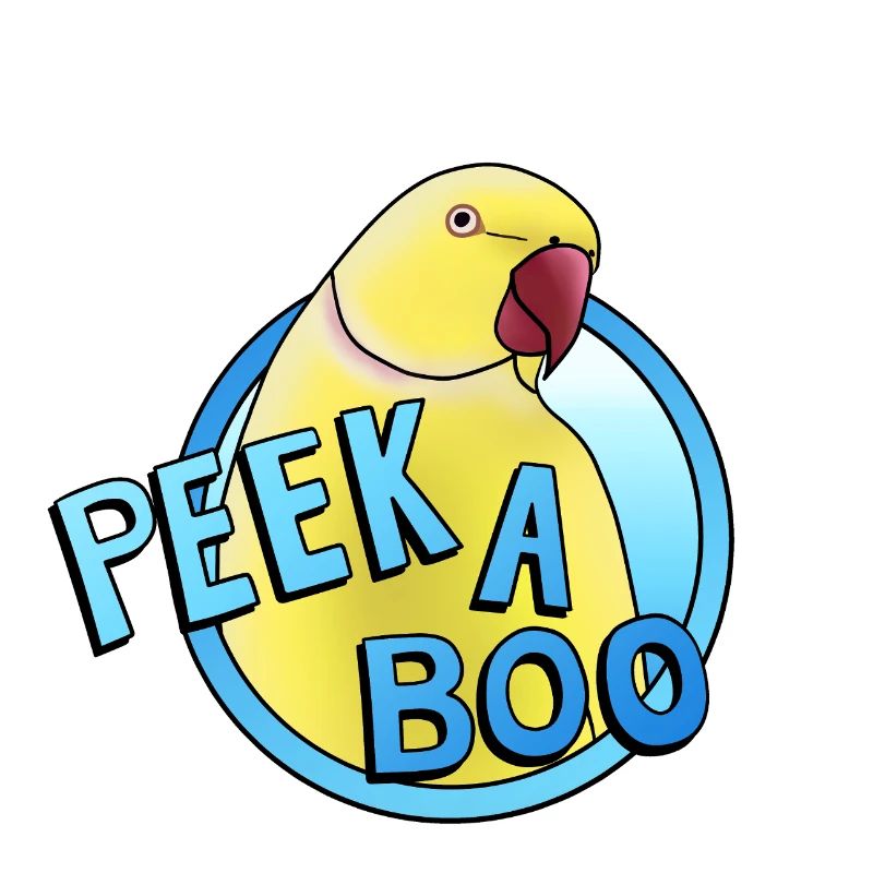 yellow collared parakeet "Peek-a-boo"