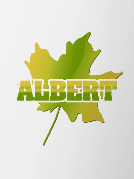Albert Albert
