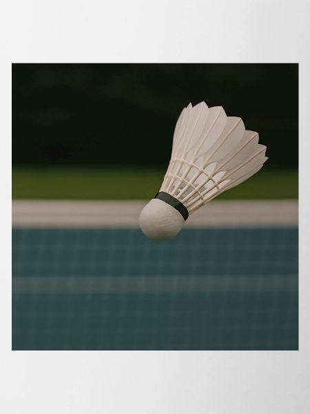 Sport - Badminton
