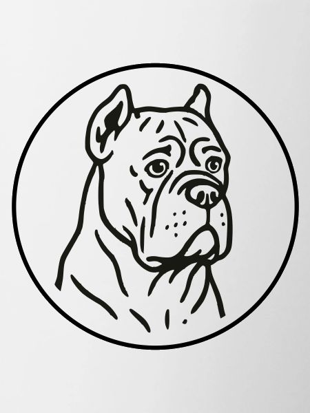 Cane Corso