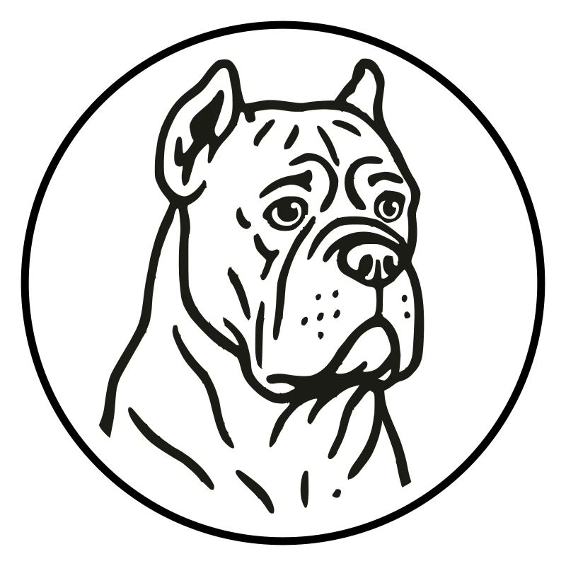 Cane Corso