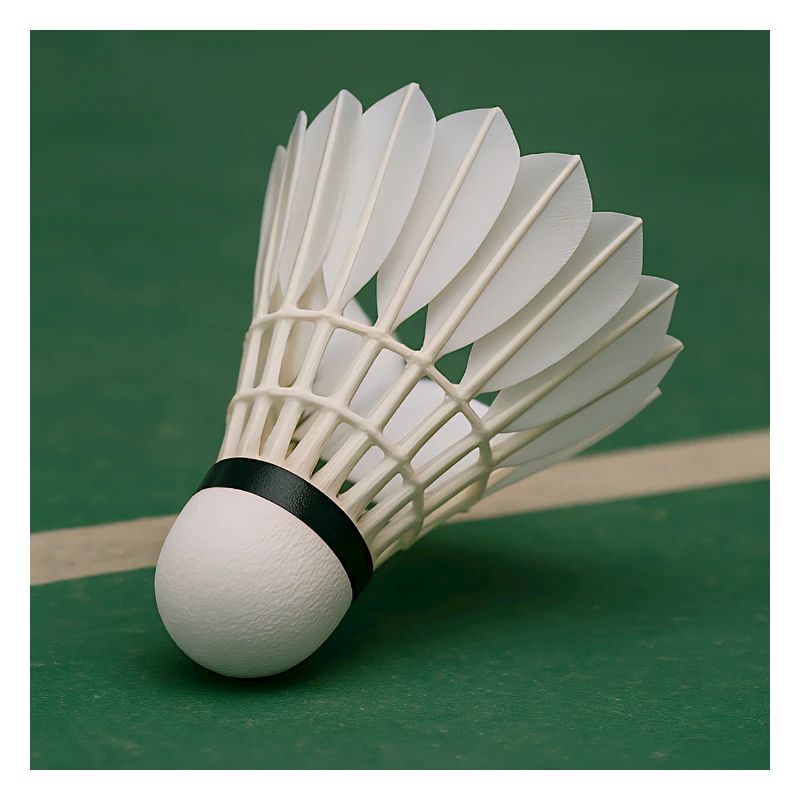 Sportarten - Badminton