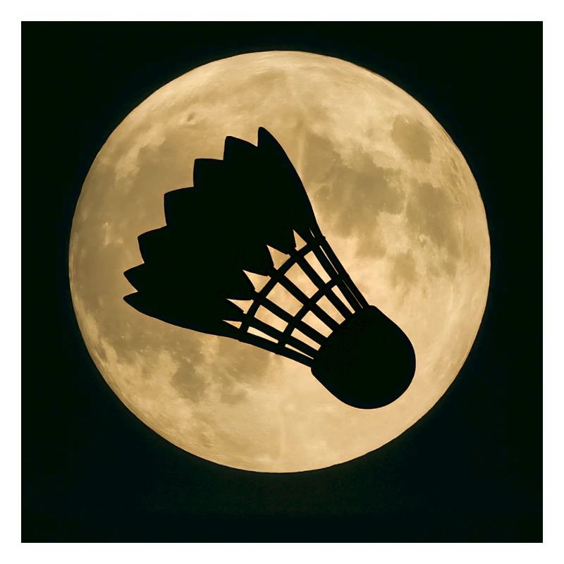 Sportarten - Badminton