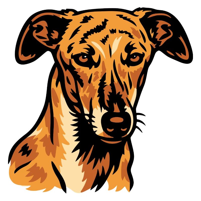 Galgo Español – Spanische Anmut