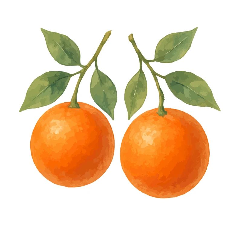 Oranges