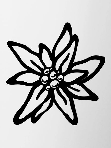 Edelweiß