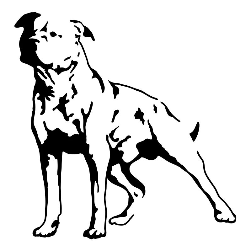 Staffordshire Terrier