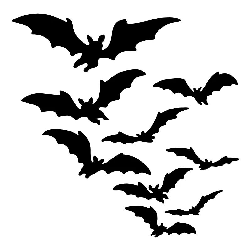fledermaus