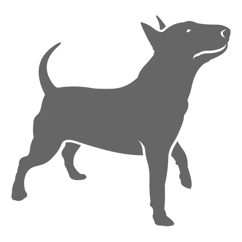 bully_headup