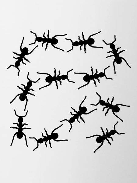Fourmis
