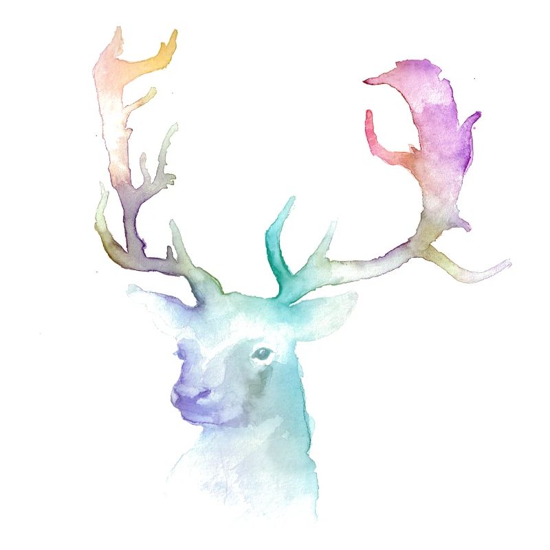 Hirsch