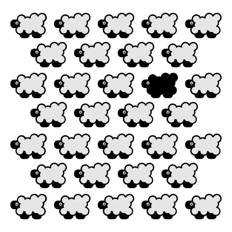 Black Sheep 2C