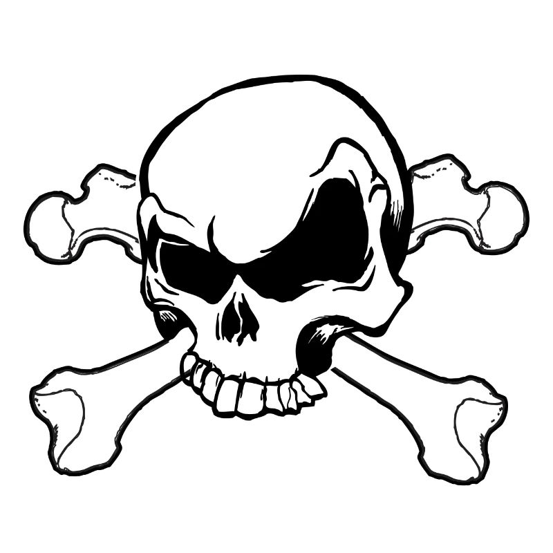 tête de mort skull et crossbones