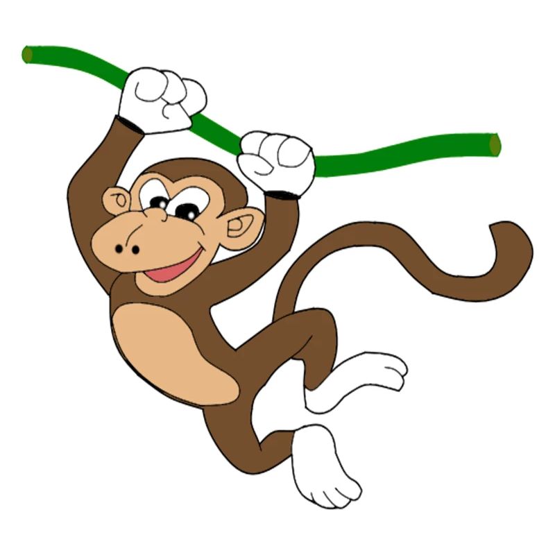 monkey