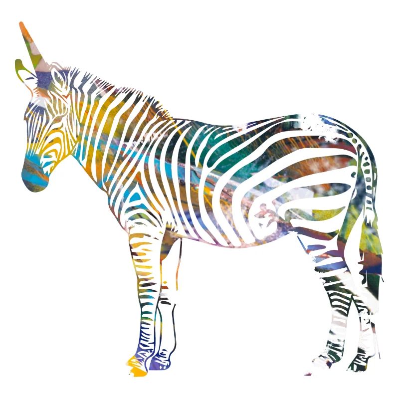 Zebra,einhorn, bunt , illustration,graffiti