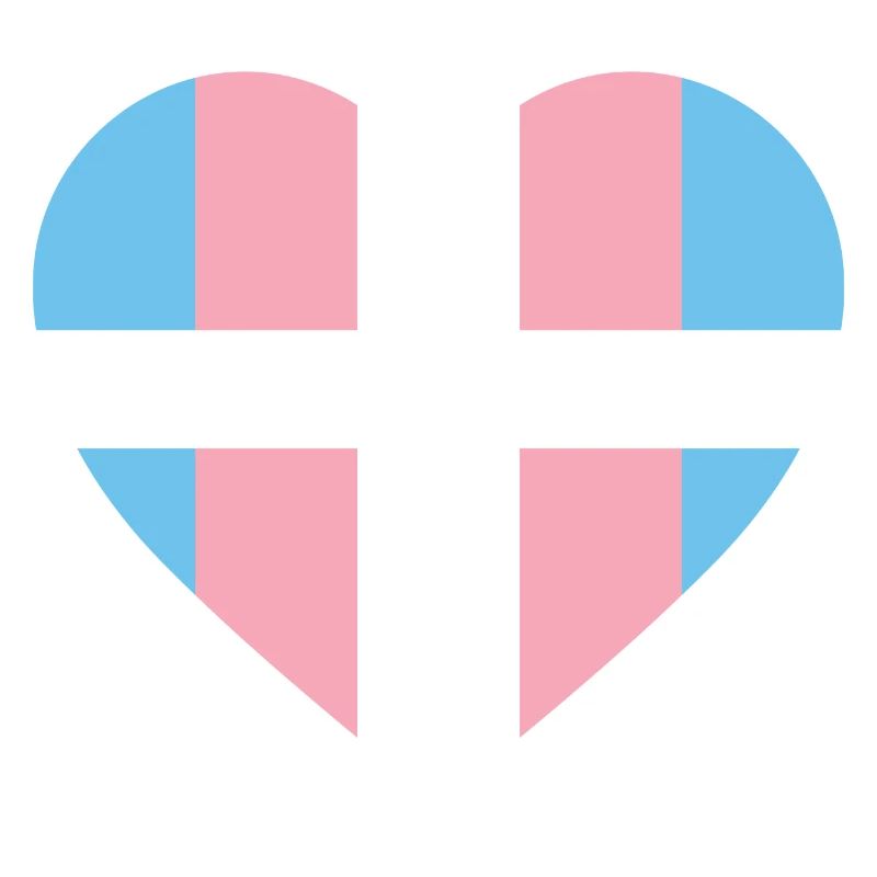 LGBTQ Nonbinary Coloré Rainbow Flag LGBTQ + Pride