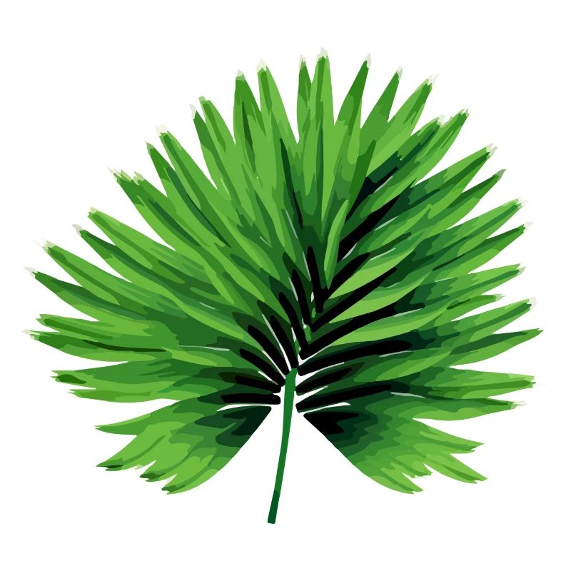 La feuille de palmier