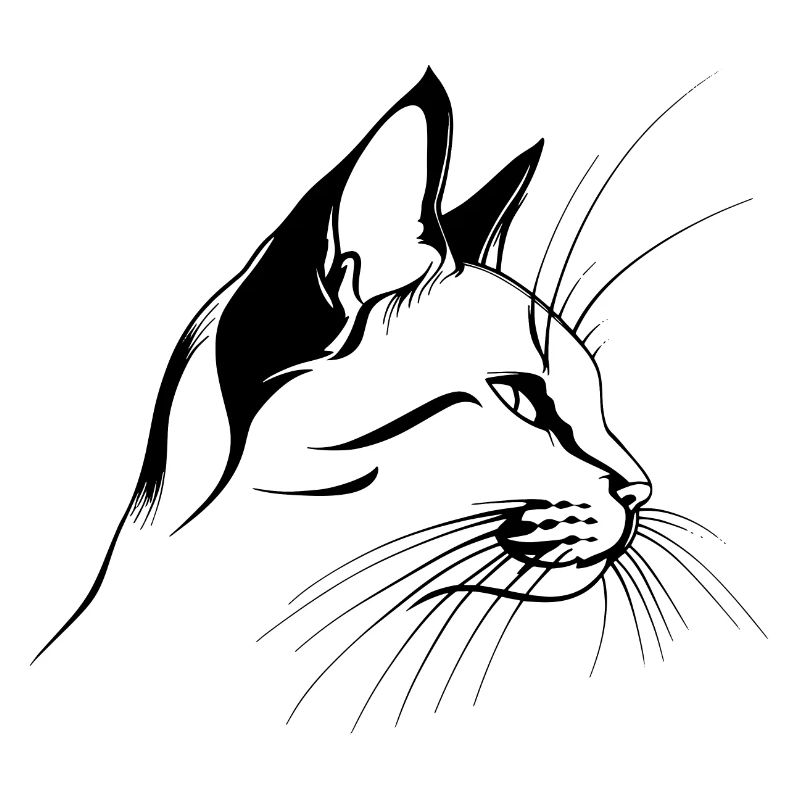 Chat, Motif De Chat, Visage De Chat
