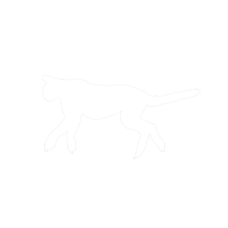 T.K.O. Drunken Predator Blackout Coma White