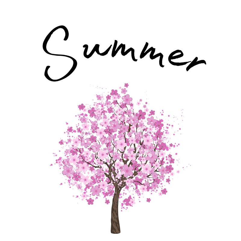 Summer | Summer | Tree | Blossoms | Sunshine