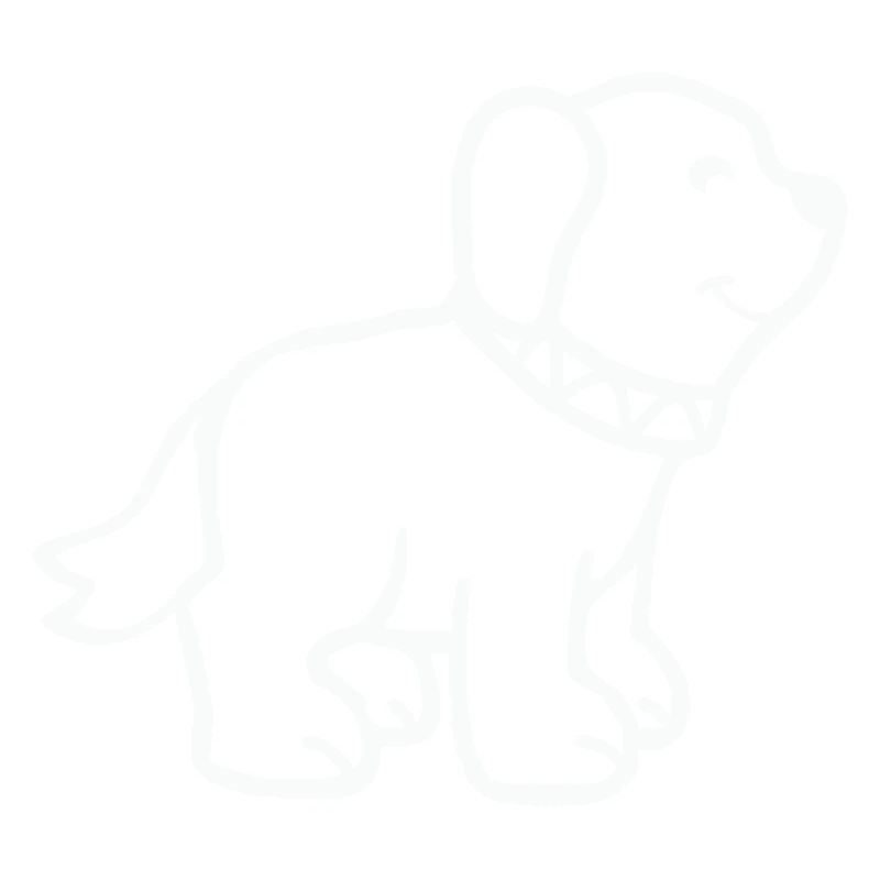 Chien