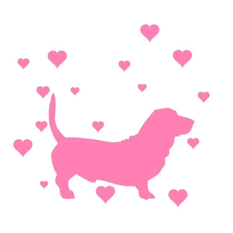 dachshund