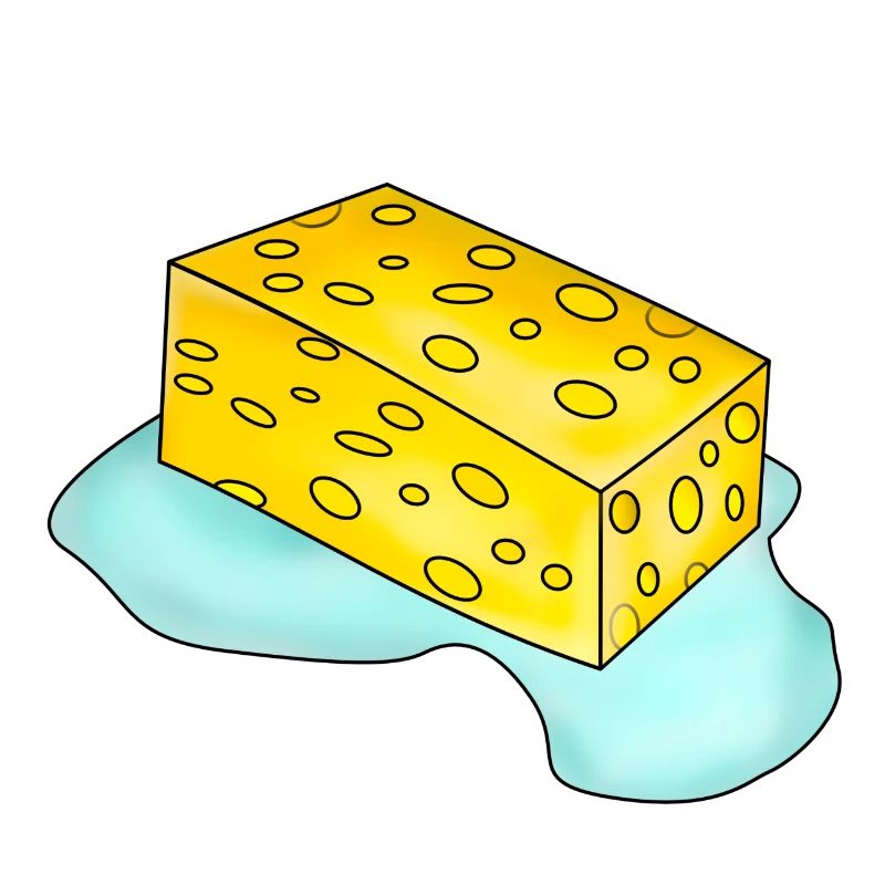 Sponge with water