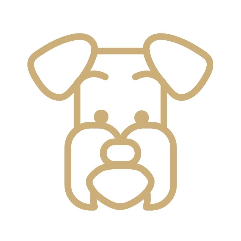 Schnauzer race de chien Polygone visage