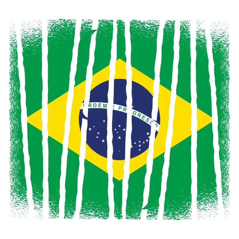 Brésil Drapeau Brésilien Drapeau Amérique du Sud