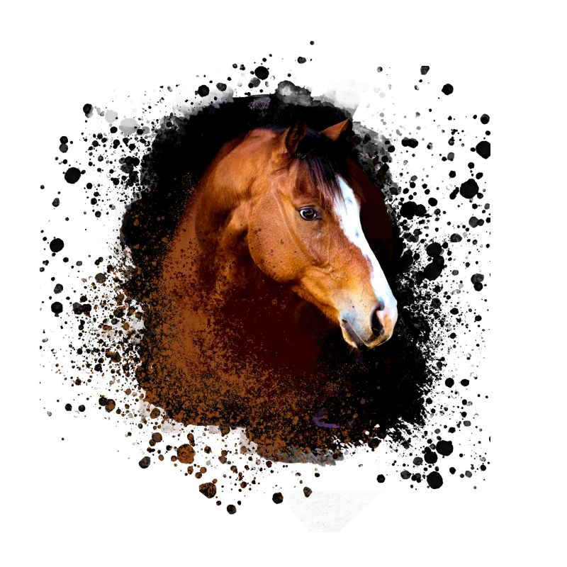 Haflinger, cheval, poney, marron, beige, graffiti, marron