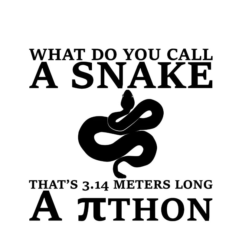 Un serpent de 3,14 mètres de long, un Pithon 3