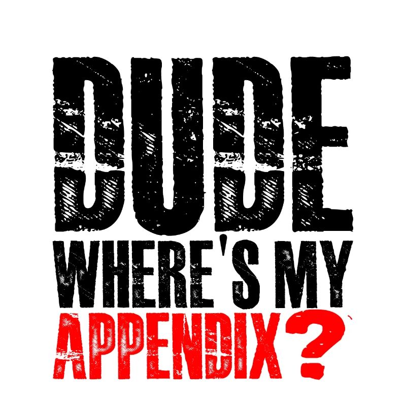 Dude Where's My Appendix 3