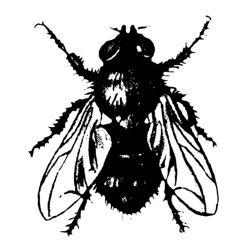 La Mouche