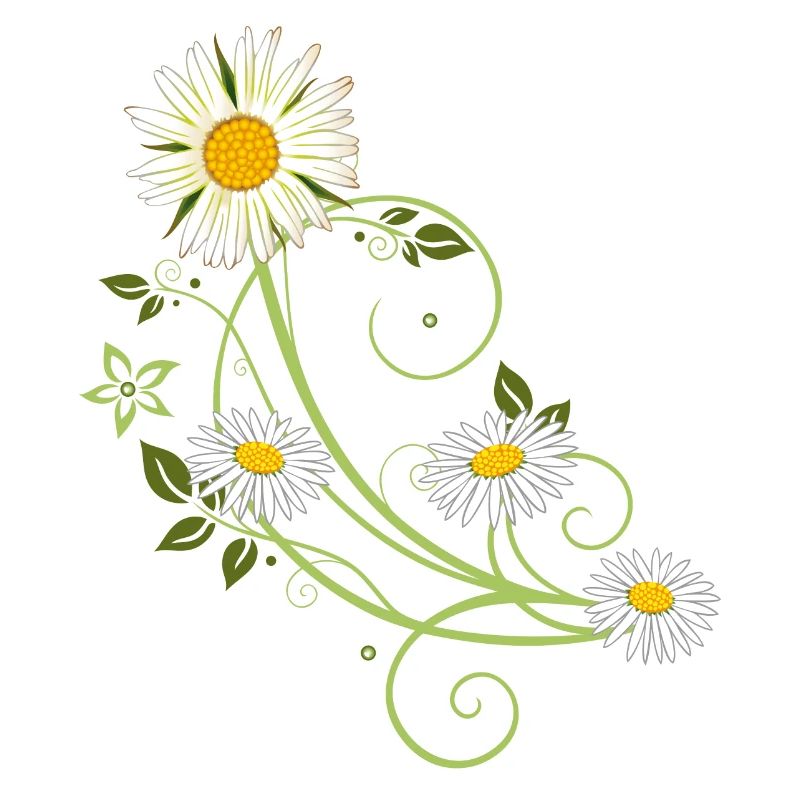 Ranke mit Margerite und Gänseblümchen