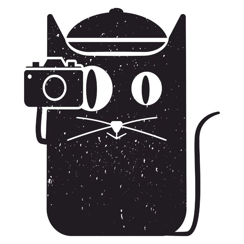 Cool simple chat et caméra