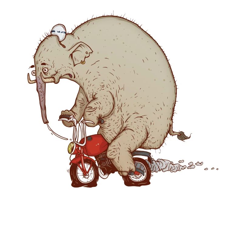 ÉLÉPHANT DRUNK