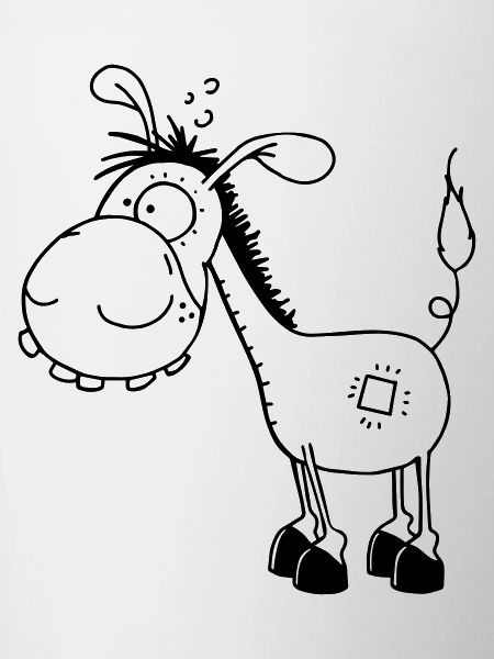 Funny little Donkey - Donkeys
