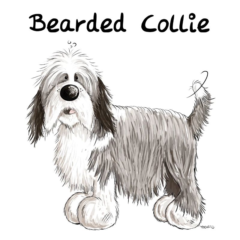 Happy Bearded Collie