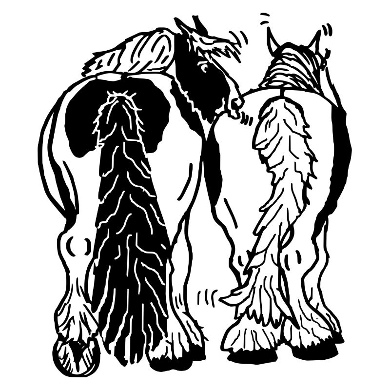 Drôle de bricoleur de derrière, à cheval