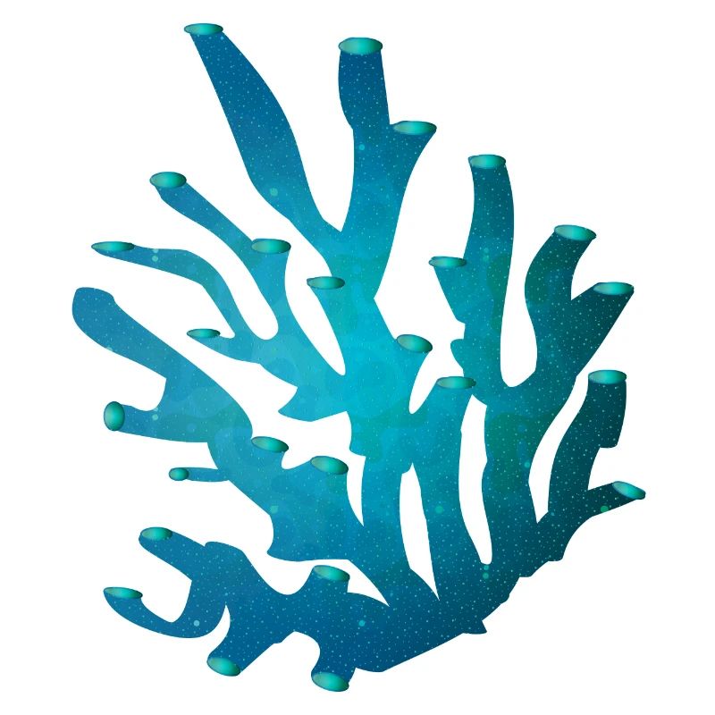 Corail à l’état de la