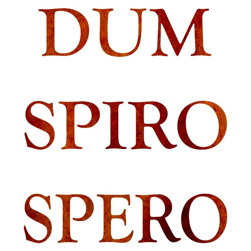 dum spiro spero, citations latines