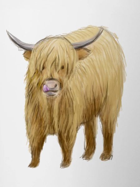 Highland Cow Art