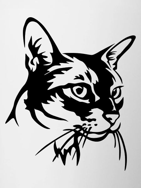 Abyssinian Cat