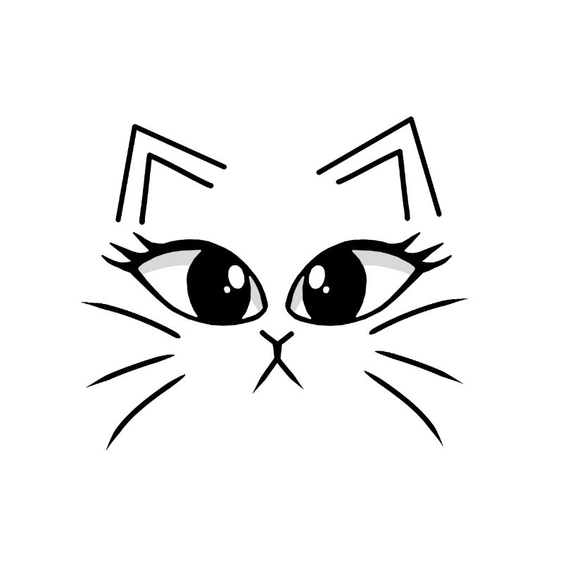 Kätzchen Katzengesicht Katze Katzen Miau