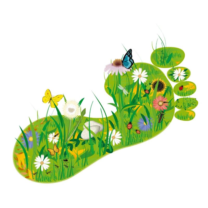 L'empreinte écologique