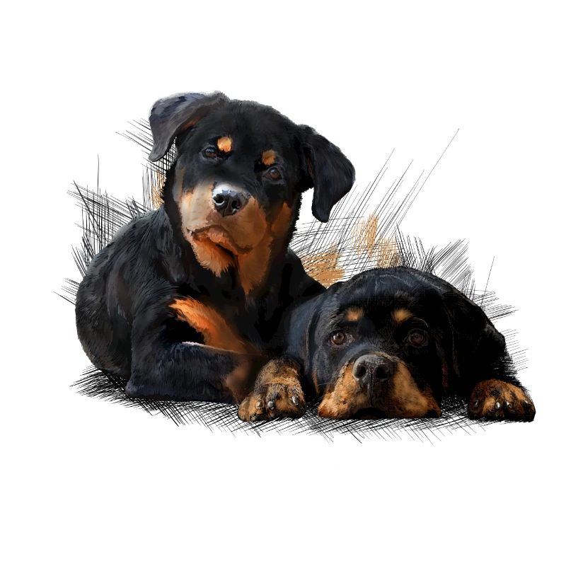 Puppys