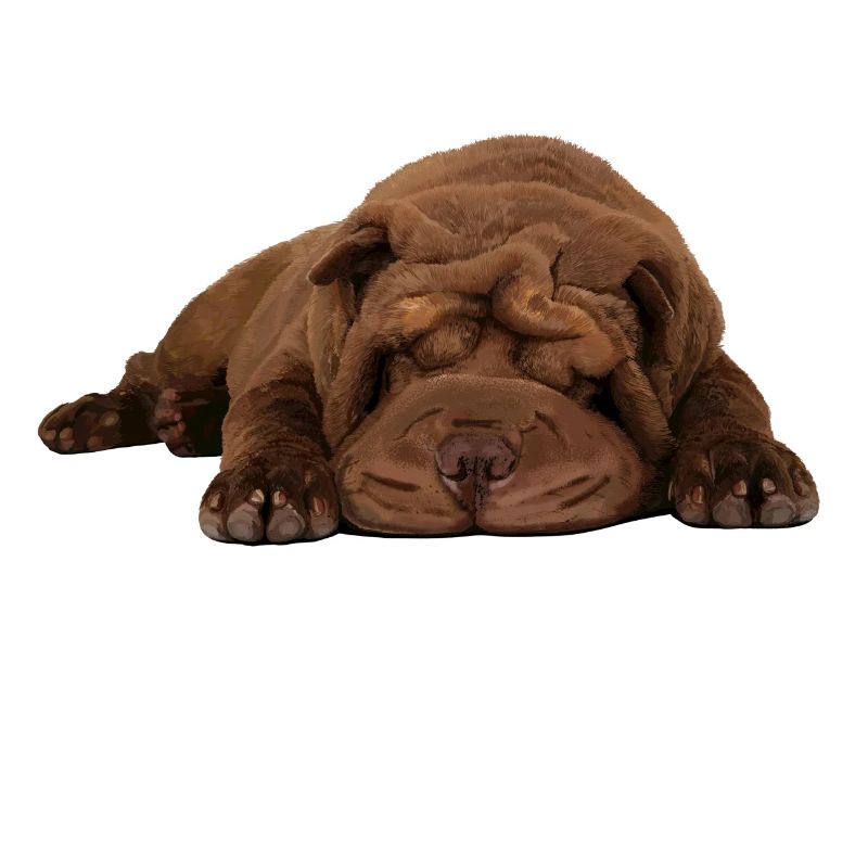Shar-Pei