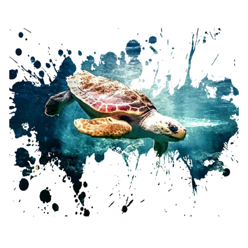 Éclaboussure de tortue