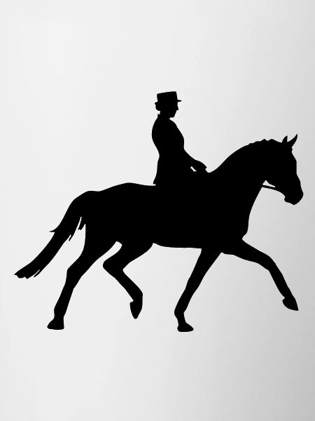 Dressage de chevaux